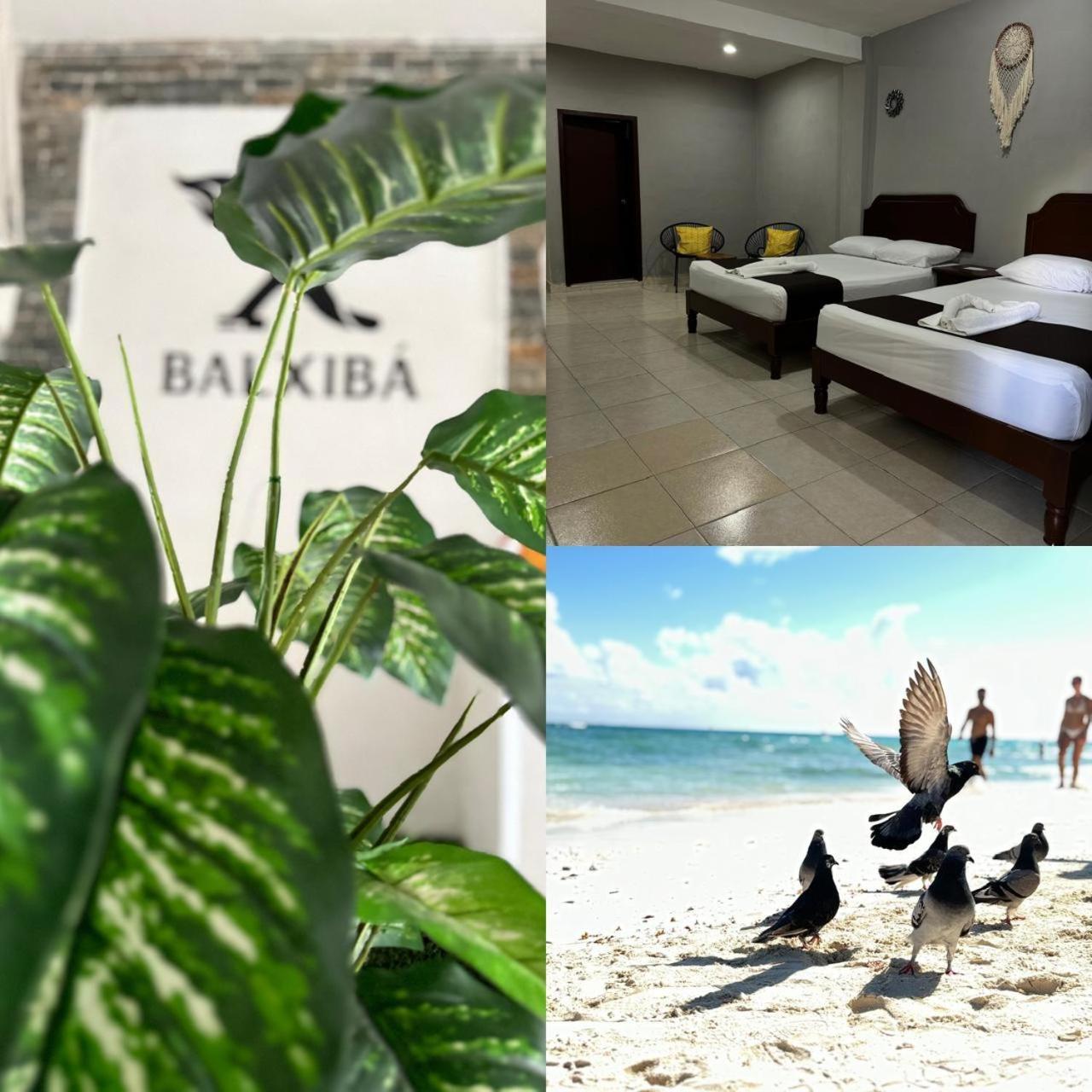 Hotel Balxiba 신데 델 카르멘 외부 사진